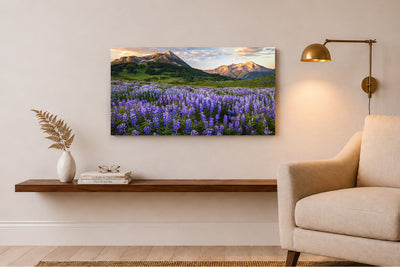 Summer Breeze - Crested Butte Colorado