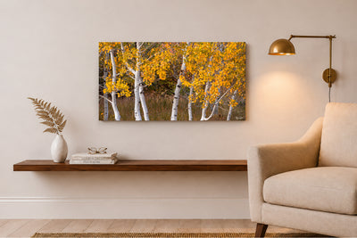 Yellow Aspen - Park City, UT