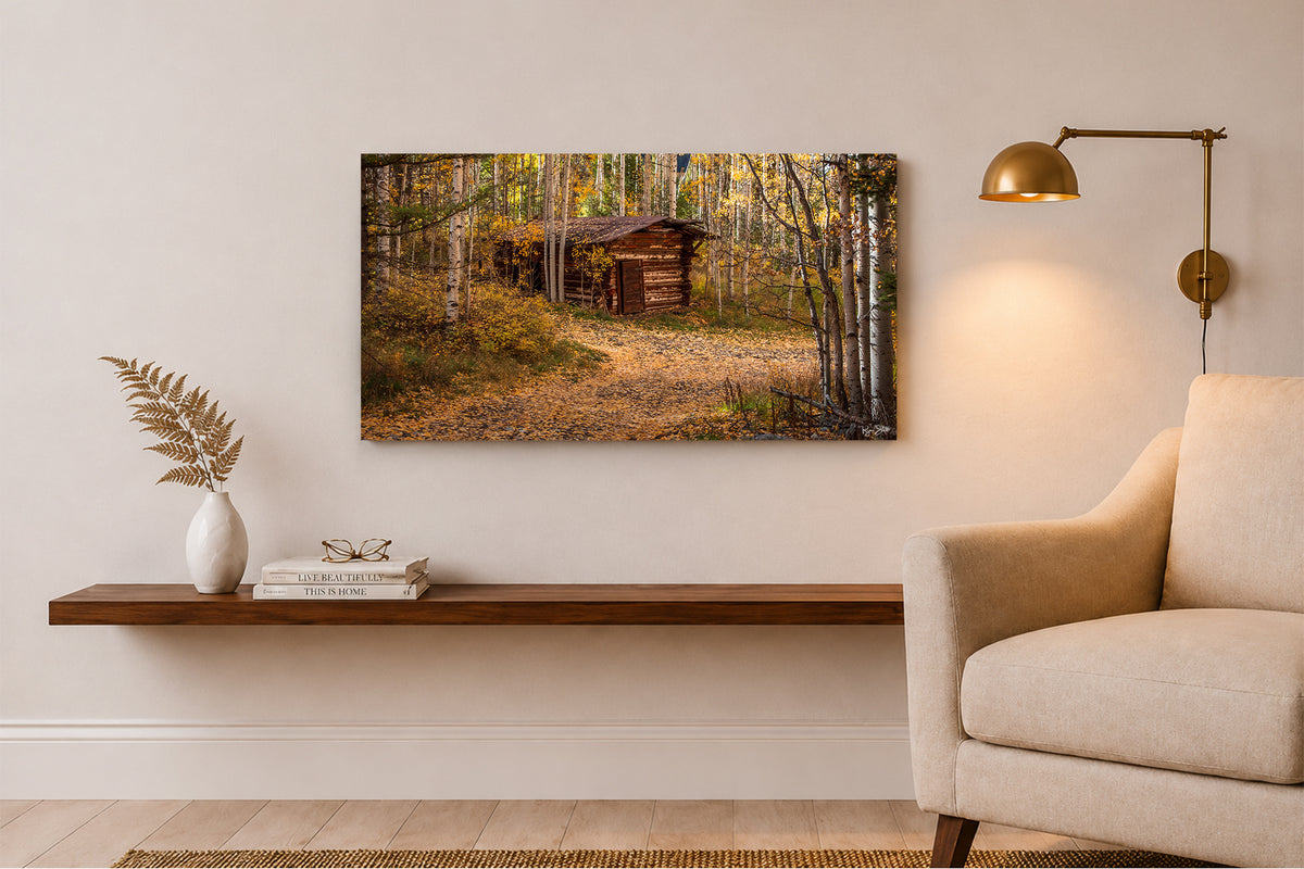 Ames Cabin - Telluride, CO