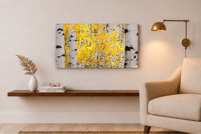 Sunkissed Pano - Ridgway, CO