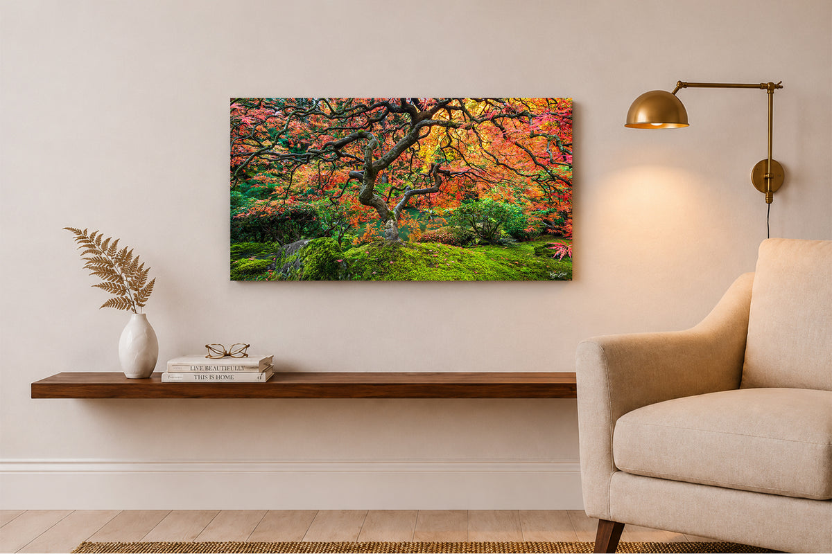 Japanese Maple Flame - Portland, Oregon
