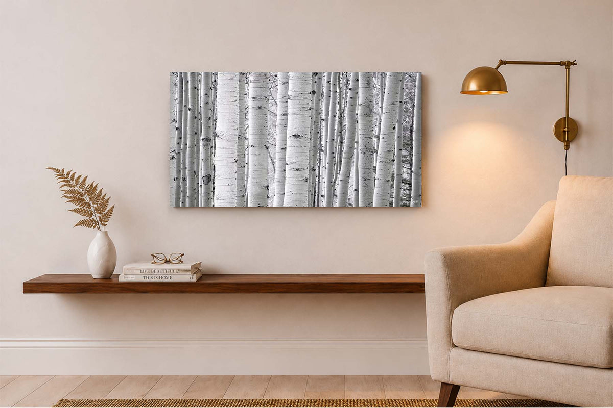 Aspen White - Telluride, CO