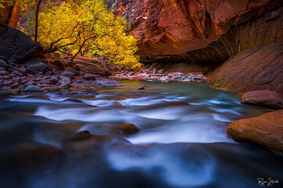 Emerald Waters - Zion National Park