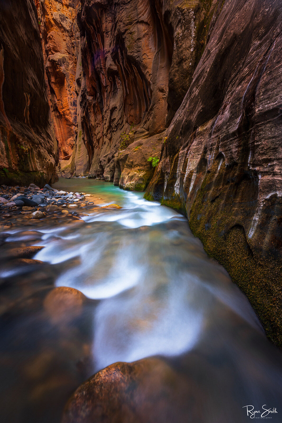 Narrow Whispers - Zion National Park