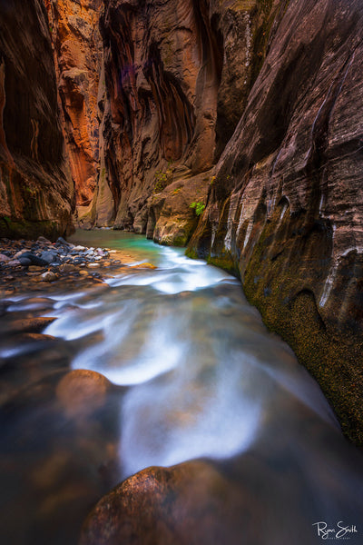 Narrow Whispers - Zion National Park