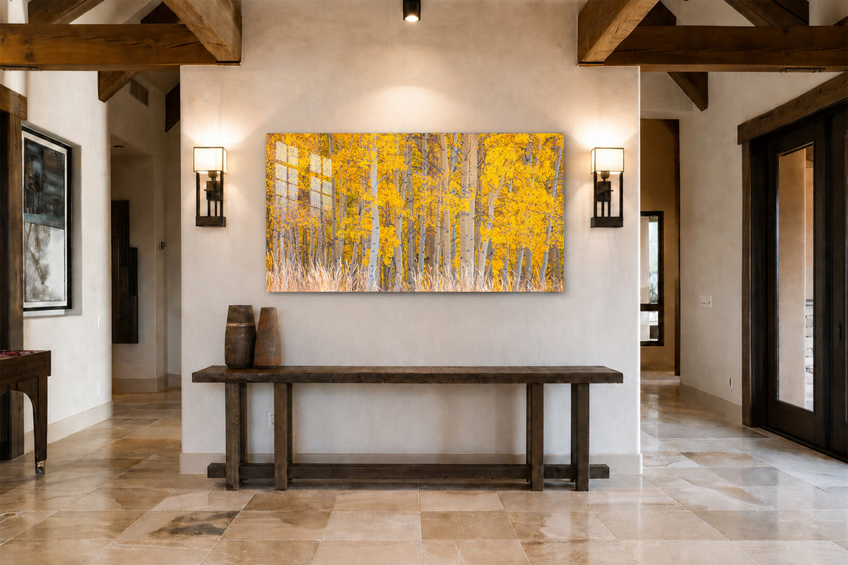 Fray | Aspen Tree Photography for Sale - Ridgway, CO
