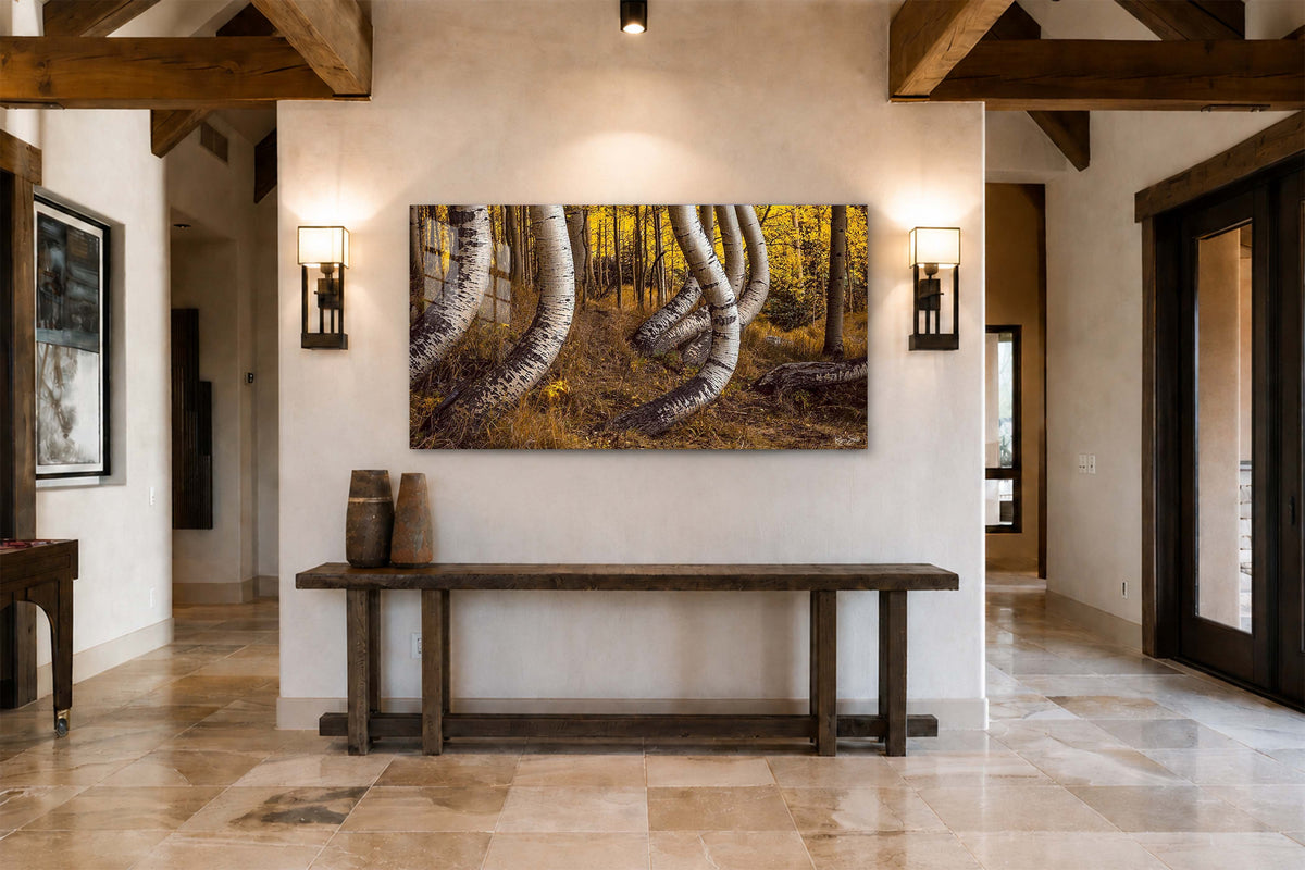 Aspen Dance Pano 1:3 - Telluride, CO