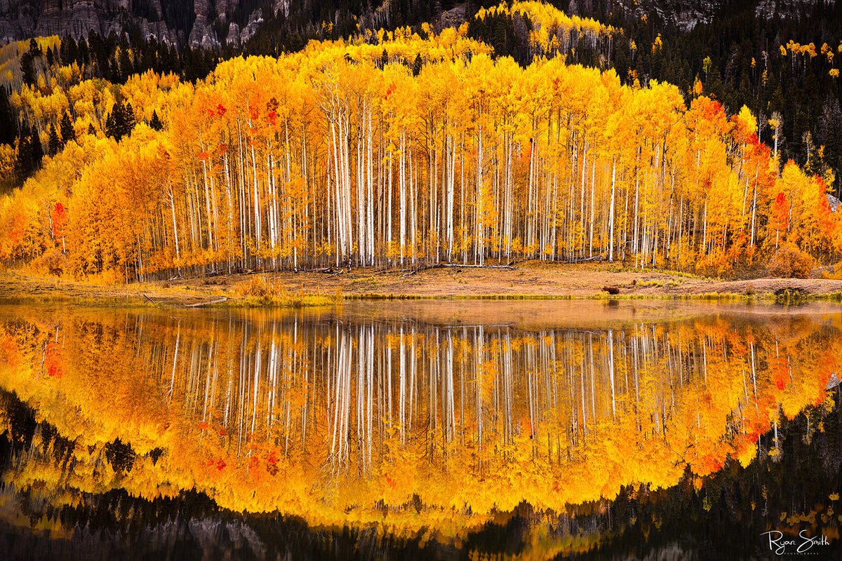 Clarity - Ridgway, CO