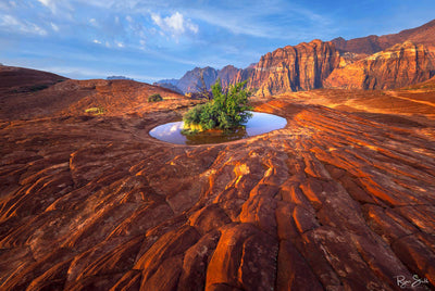 Mirage - Snow Canyon State Park