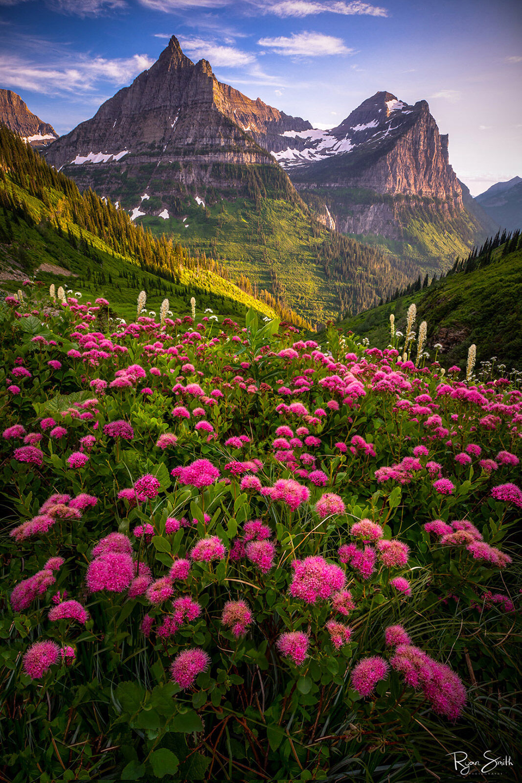 Bombshell - Glacier National Park