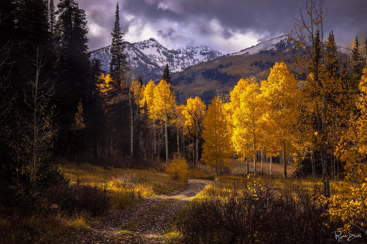 Glowing Meadows - Alpine, UT