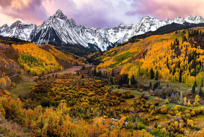 Colorado Gold - Ridgeway, Colorado