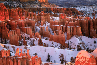 Emberglow - Bryce Canyon Utah