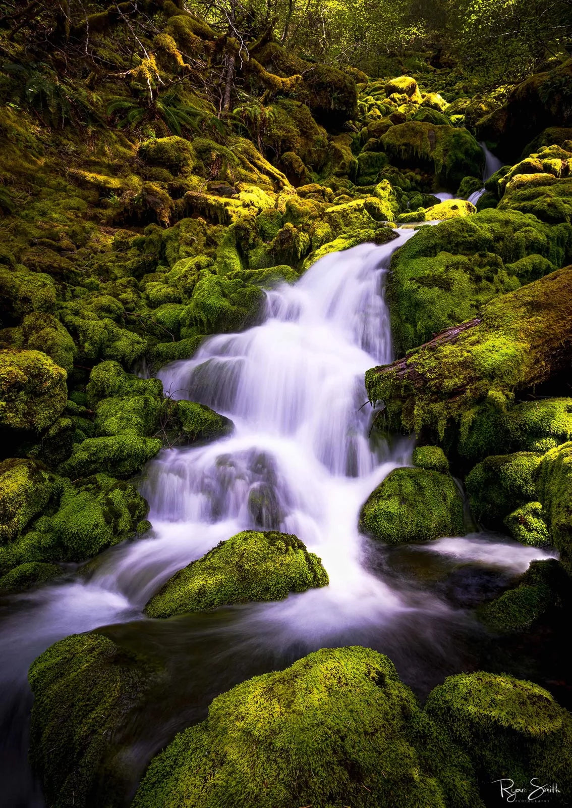 Falls Creek - Oregon State