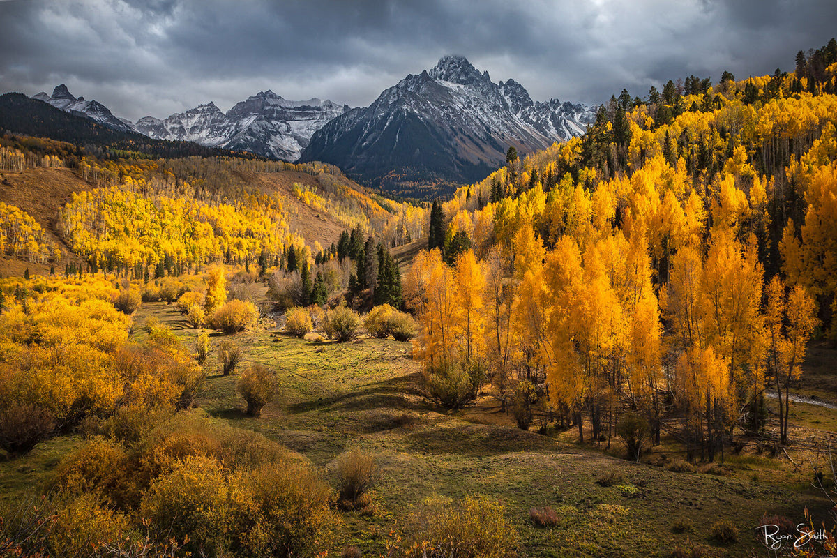 Golden Meadows - Telluride, Colorado