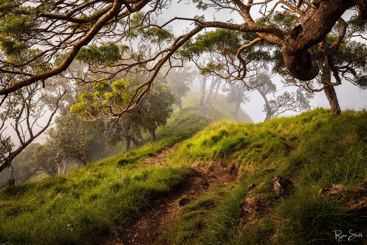 Kalepa - Kalepa Trail, Kauai
