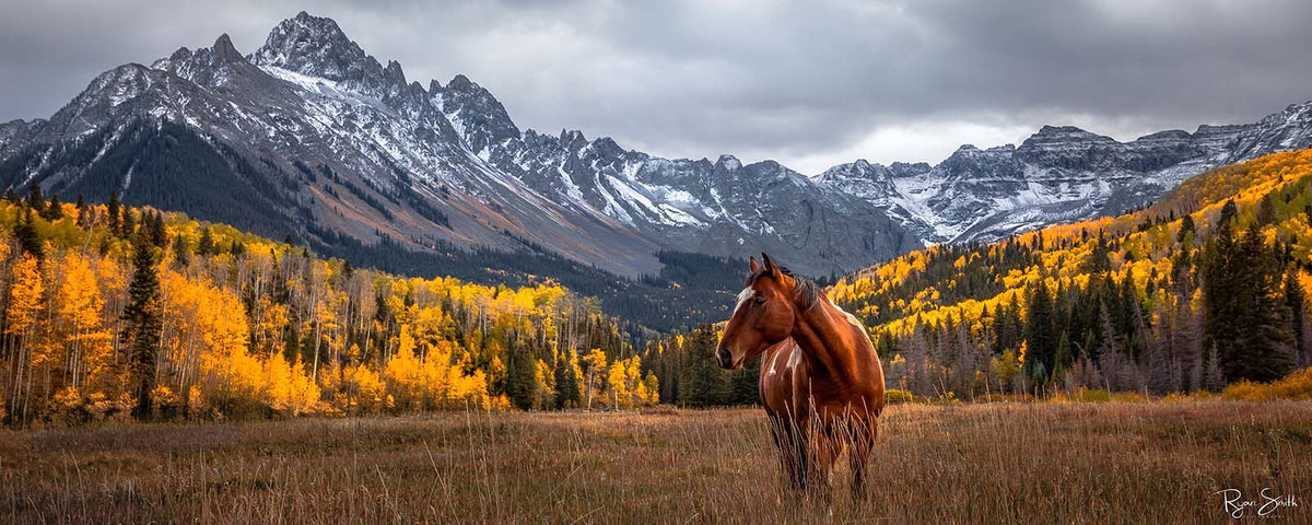 Lone - Ridgway, CO
