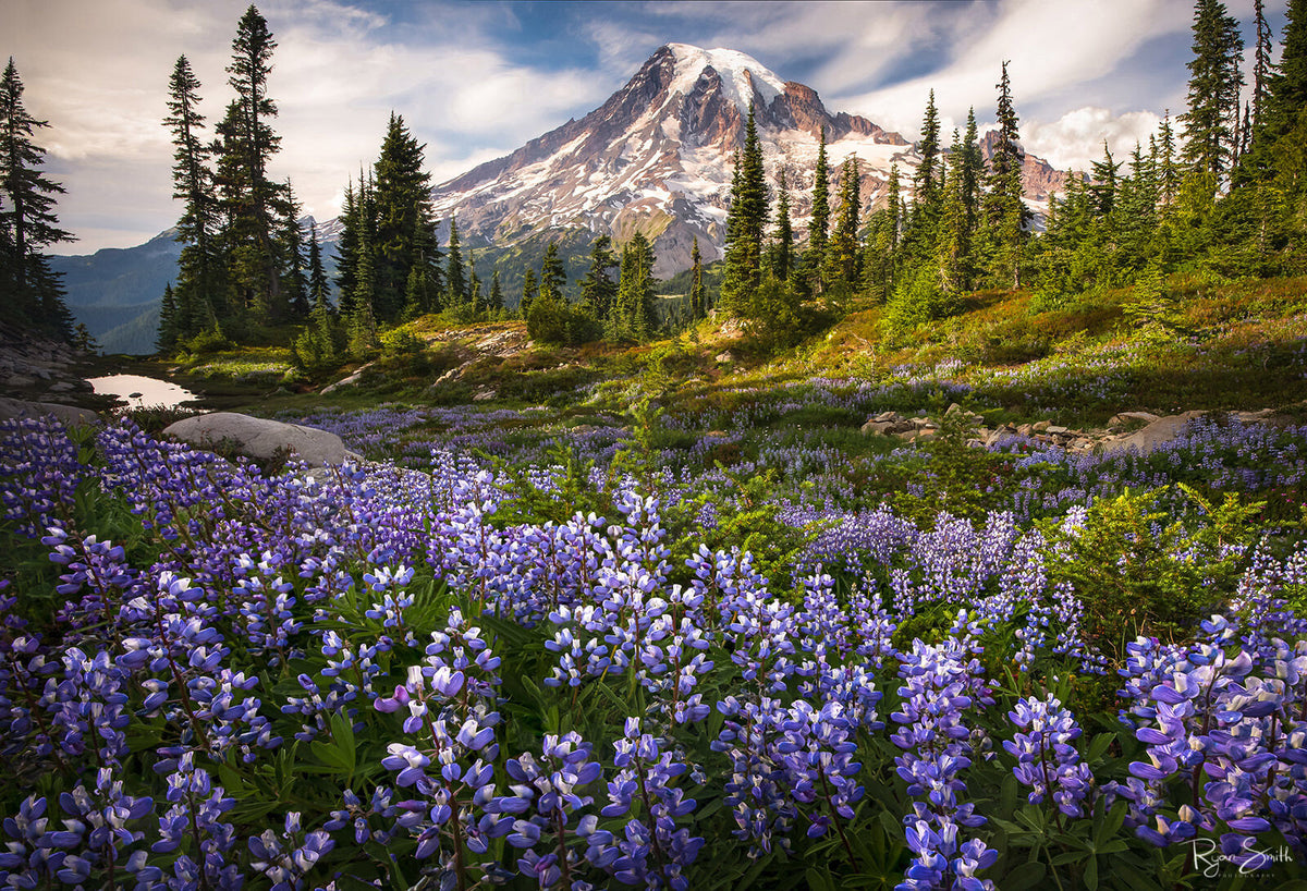 Lovespell - Mt Rainier National Park, Washington