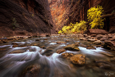 Narrow Colors - Zion National Park, Utah