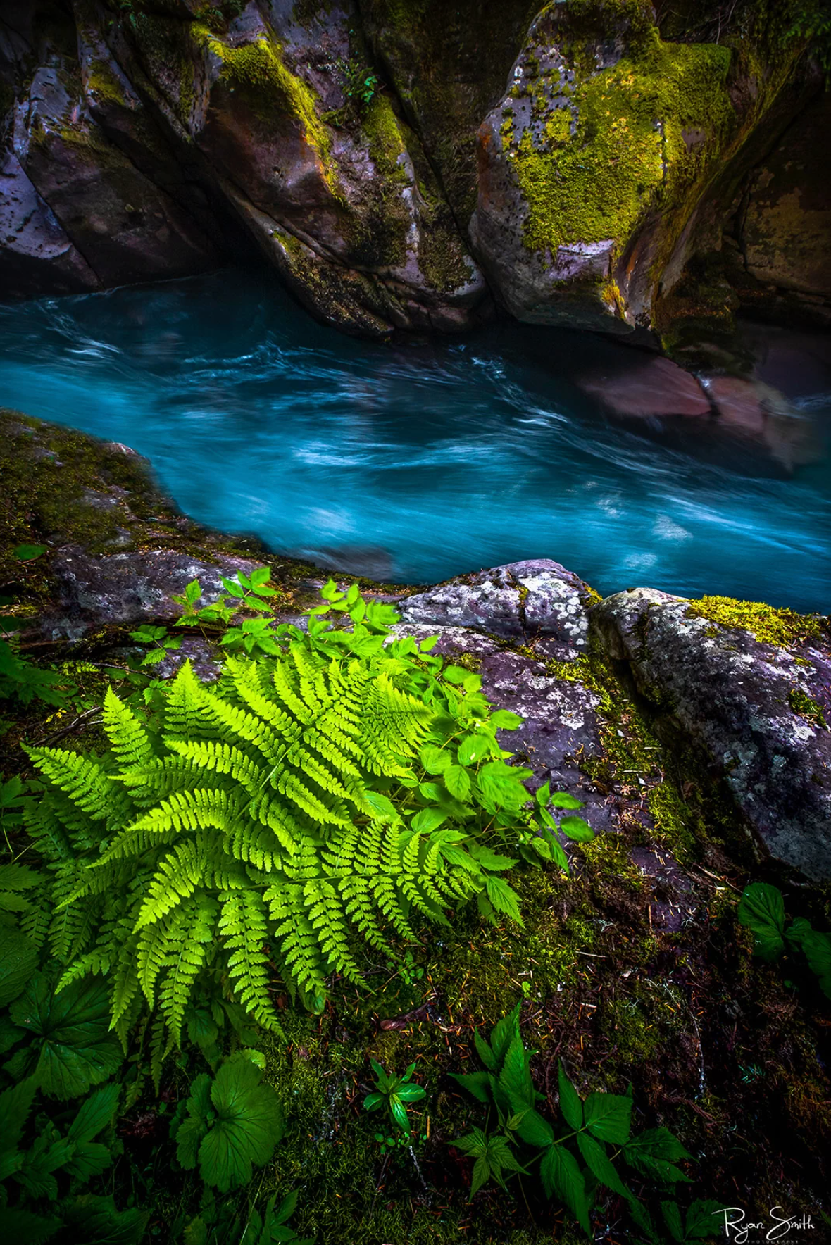 Avalanche - Glacier National Park