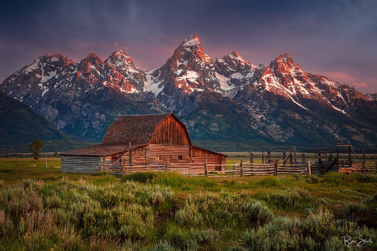 The Grand - Mormon Row | Grand Teton National Park