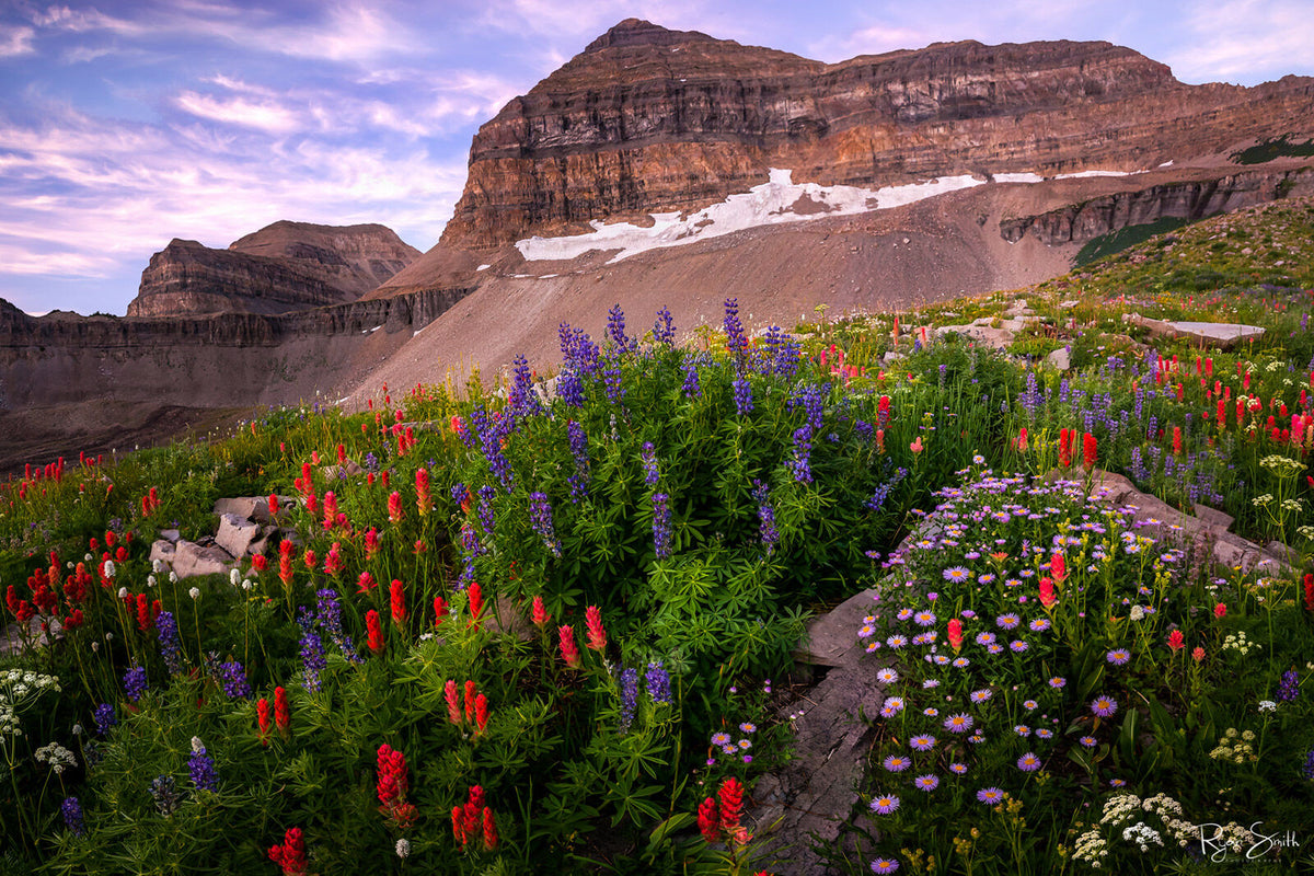 Timpanogos Meadow - Mount Timpanogos, Utah