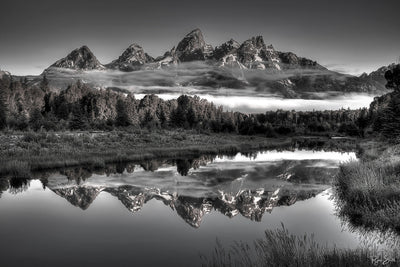 Hazy Reflections Monochrome